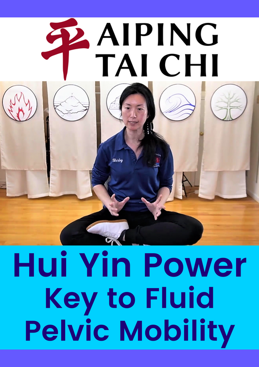 Powering the Hui Yin Workshop Video