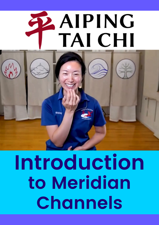 Introducing Meridian Channels for Tai Chi Workshop Video